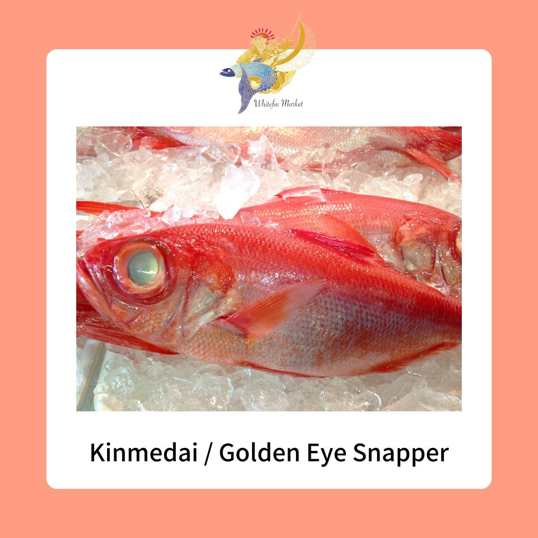 jū-ni - The left side is an average 3lb ji-kinmedai (highest quality golden  eye snapper) The right is a very impressive 6lb ji-kinmedai. (The largest  any of us have ever worked with! )