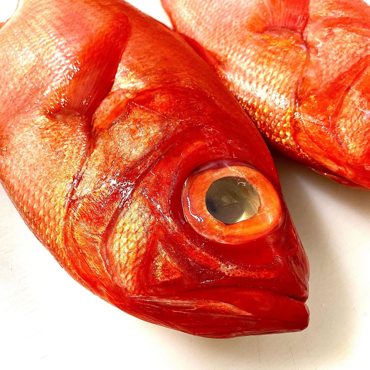 Kinmedai (Golden Eye Snapper) from Japan